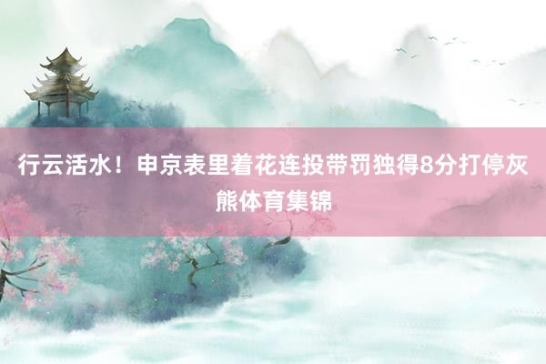行云活水！申京表里着花连投带罚独得8分打停灰熊体育集锦