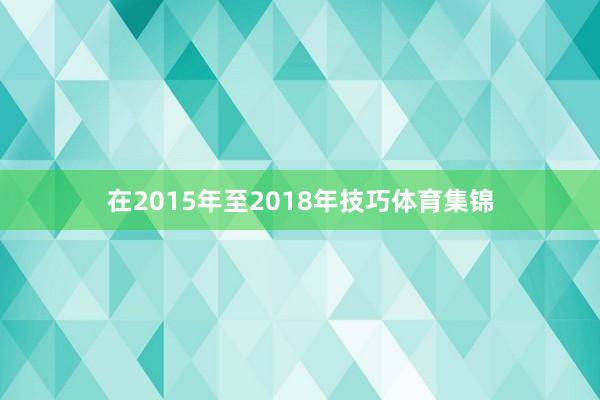 在2015年至2018年技巧体育集锦