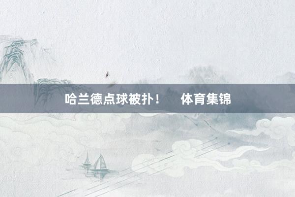 哈兰德点球被扑！    体育集锦