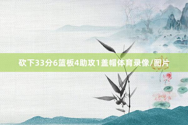 砍下33分6篮板4助攻1盖帽体育录像/图片