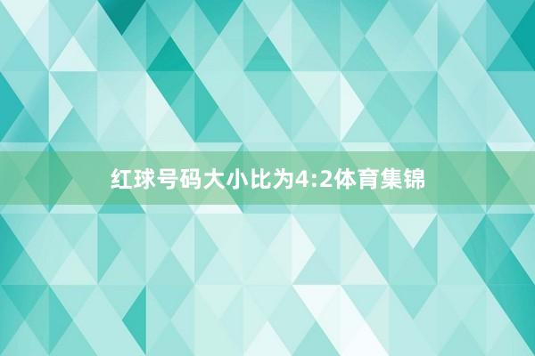 红球号码大小比为4:2体育集锦