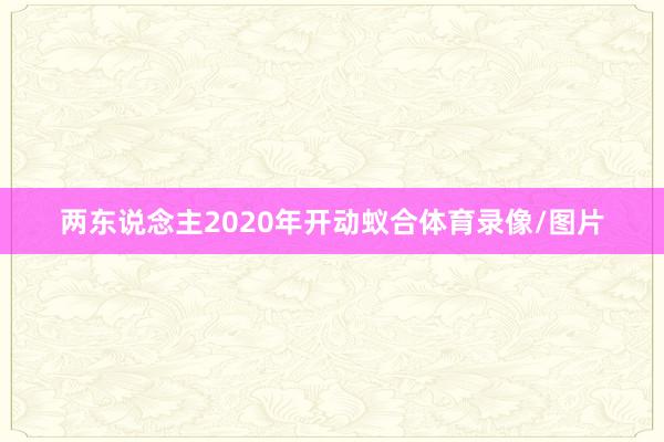 两东说念主2020年开动蚁合体育录像/图片