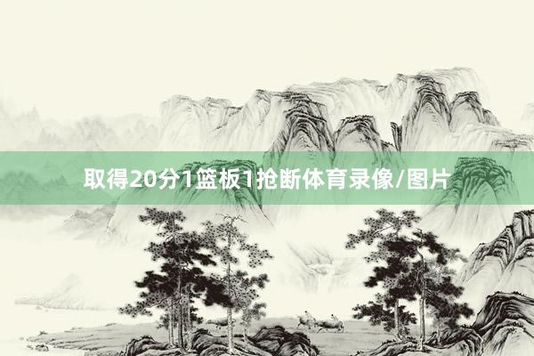 取得20分1篮板1抢断体育录像/图片